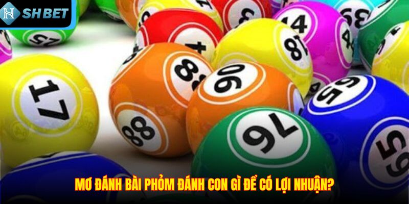 Mơ đánh bài phỏm đánh con gì để có lợi nhuận?