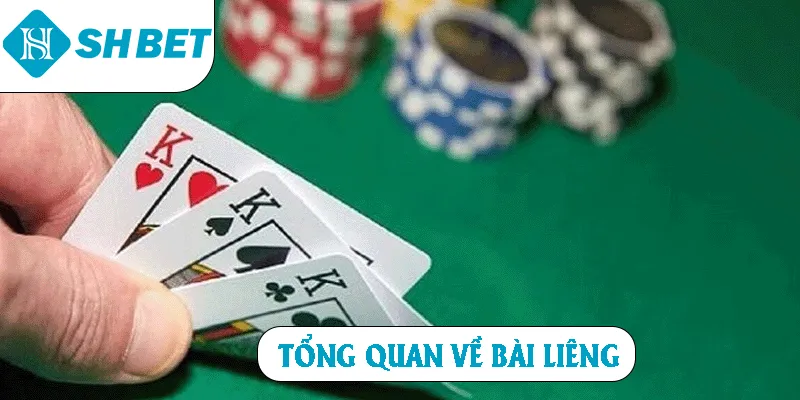 Tổng quan về bài Liêng